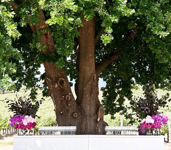 Ezard At Levantine Hill