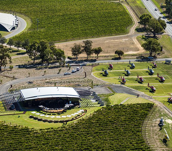 Ezard At Levantine Hill