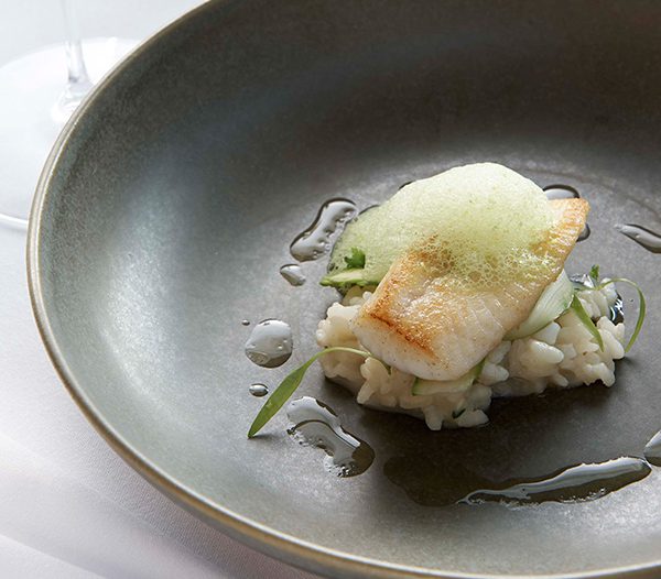 Ezard At Levantine Hill