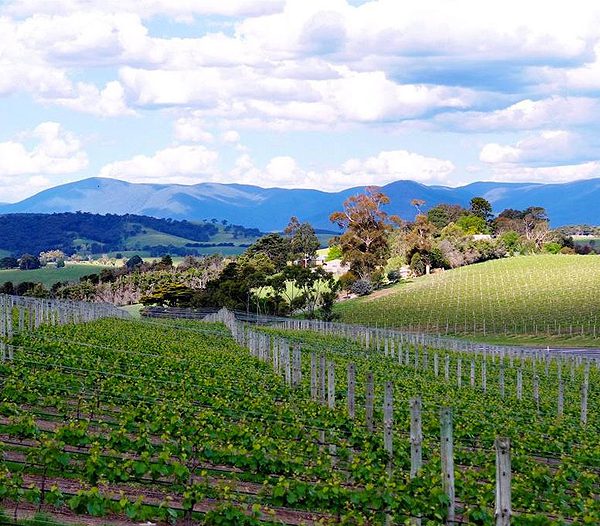 Balgownie Estate