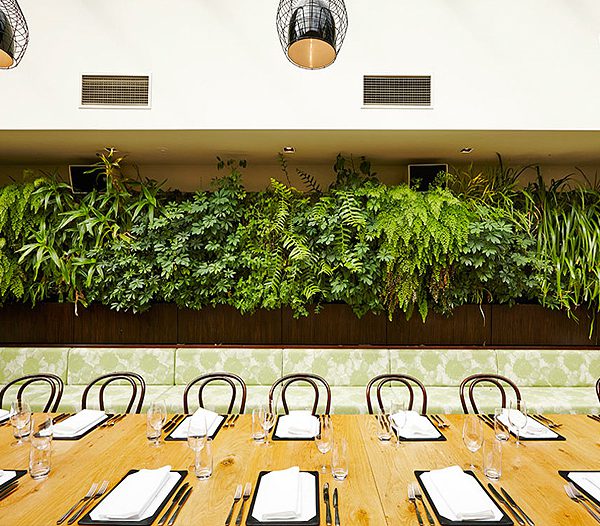 The Botanical